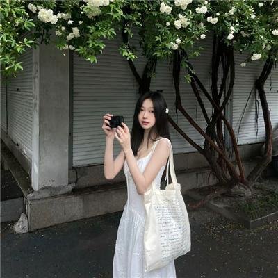 儿女英雄传